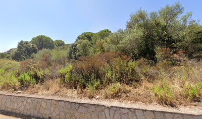 Ribes Régine, Cabinet Infirmier à Porto-Vecchio