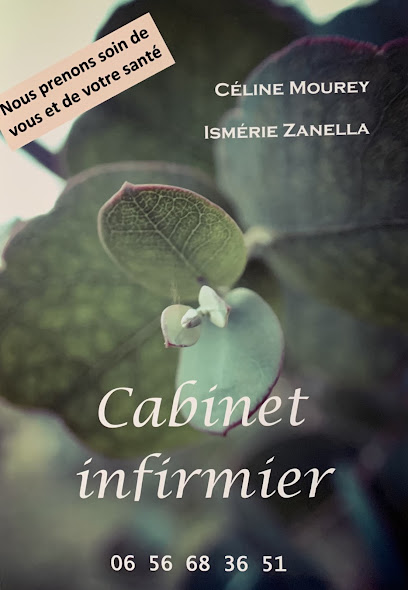 Infirmière Libérale Ismérie Zanella Infirmière à Marguerittes