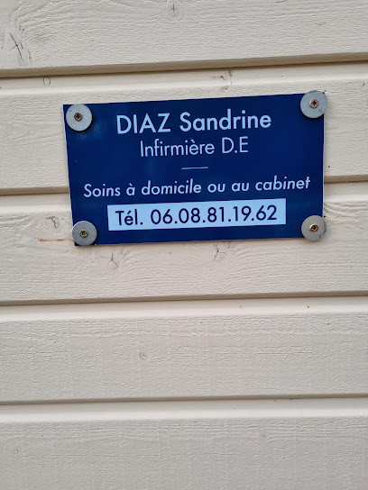Diaz Sandrine, Infirmière à Camarade
