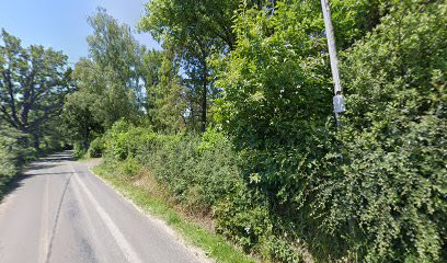 Savy Viviane, Infirmière à Salmiech