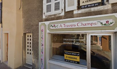 Rossi Girard Francoise, Cabinet Infirmier à Monestier-de-Clermont